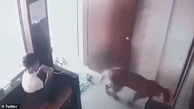 Footage showed the leopard completely entering the small room as the boy watched in horror and planned his escape