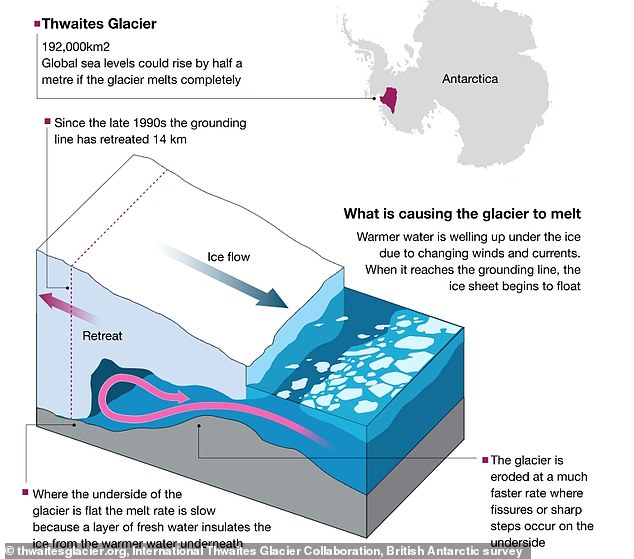 Warm water flowing under the Thwaites Glacier melts it.  Once enough ice has disappeared from the bottom, the leading edge will flake off - or crack and fall off