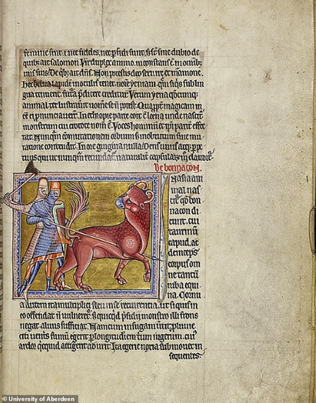 The full page in the Aberdeen Bestiary, a medieval manuscript kept at the University of Aberdeen that once belonged to King Henry VIII