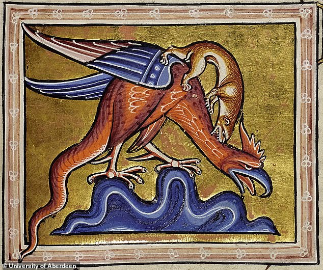 The Aberdeen Bestiary is one of the most lavish ever produced, probably created for the enjoyment of many.  In the photo a Basilisk is being attacked by a weasel