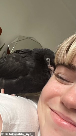 The 26-year-old's unlikely sidekick is a 'purse pigeon', creatively named Pidge, which she rescued from a rubbish heap in May 2023