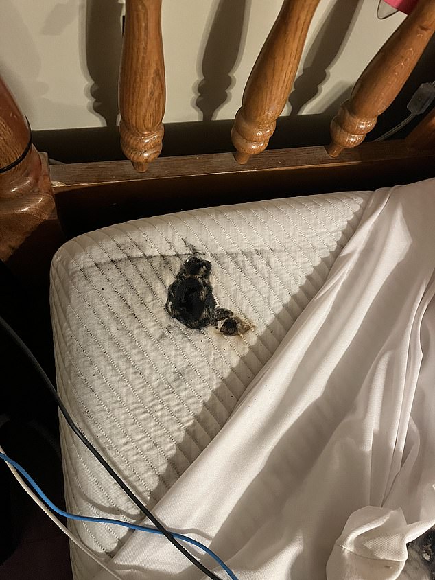 A woman named Marine was also the victim of an exploding Elf Bar last year.  She posted on a forum that she bought a new Crystal Elf Bar and plugged it in while leaving it on her bed, which also exploded