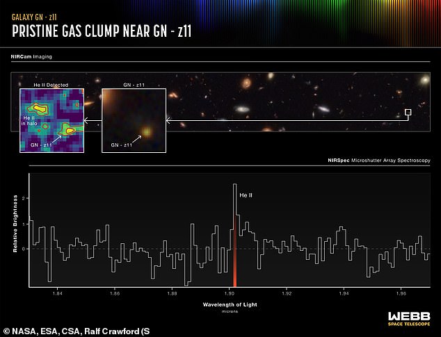 A small box identifies GN-z11 in a field of galaxies (top right).  This can be seen zoomed in in the middle.  The far left box shows the halo of helium gas around the galaxy, including a clump not visible in the infrared colors in the middle box.  The graph at the bottom shows the clear light signature of helium and no other element.  Scientists concluded that this must mean the helium lump is a pristine remnant of the Big Bang