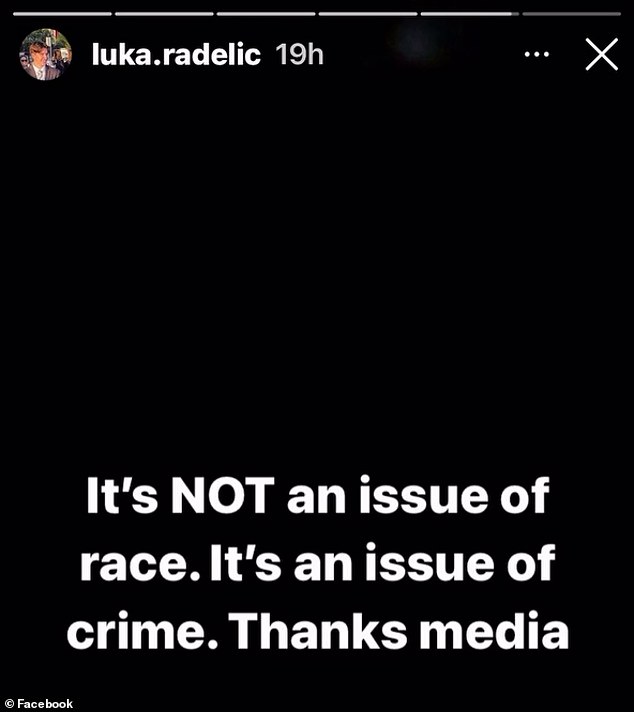 Luka Radelic defended his father's actions on social media, saying the incident was about crime, not race