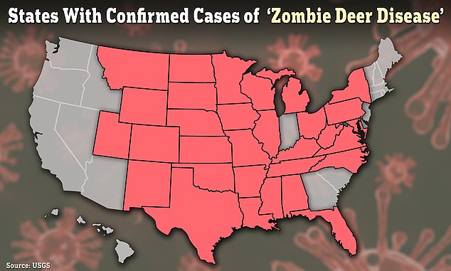 At least 32 states in America and parts of Canada have seen reports of a virus called 'zombie deer disease' that could potentially spread to humans