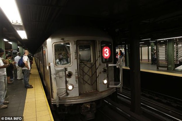 Sources told the New York Post that she was then pushed onto the tracks when a Line 3 train approached and hit her