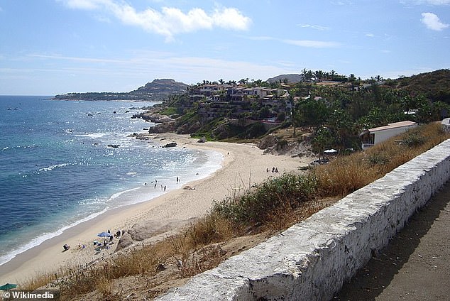 But he confirmed to the San Francisco Standard that he was still living in San Jose Del Cabo (pictured) and shared a photo of himself, clean-shaven and wearing a neighborhood cleanup organization's T-shirt.