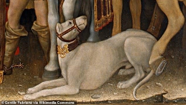 Alaunt Gentils were fearless attack dogs that took on bulls and bears