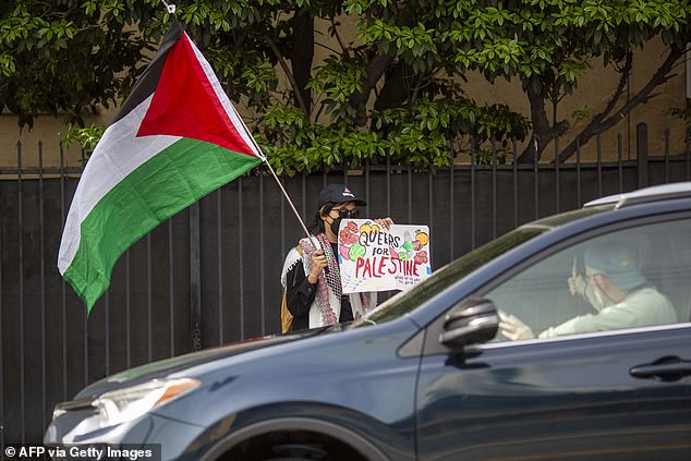 As celebrities make their way to the Oscars red carpet at the Dolby Theater, protesters wave flags and hold signs near the street