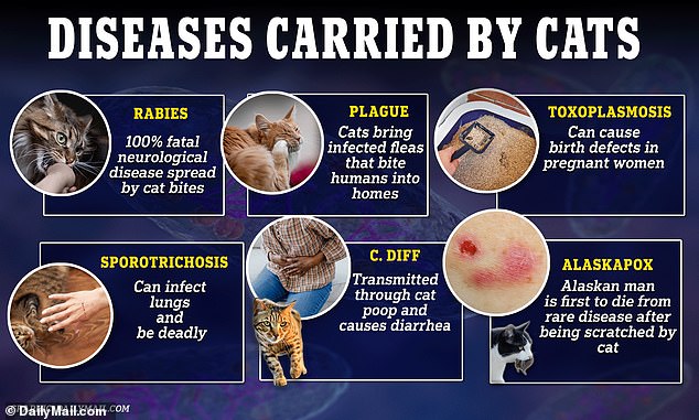 It is unclear how the man in New Mexico contracted the plague.  In Oregon, a patient contracted the disease from his cat.  Cats, both wild and domestic, can carry numerous diseases, some of which can be transmitted to humans