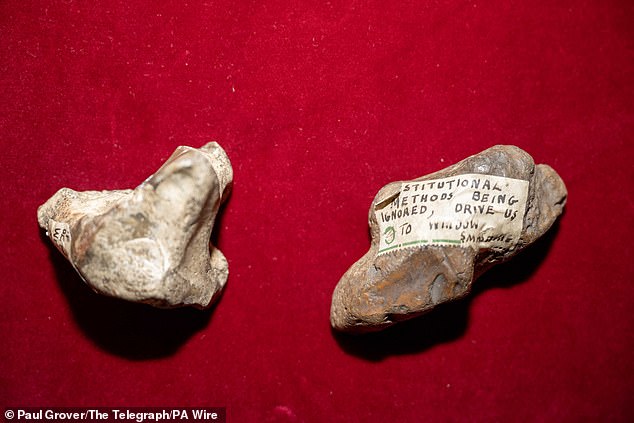 Stones thrown by the Suffragettes at the windows of Buckingham Palace, on display during a reception attended by Queen Camilla