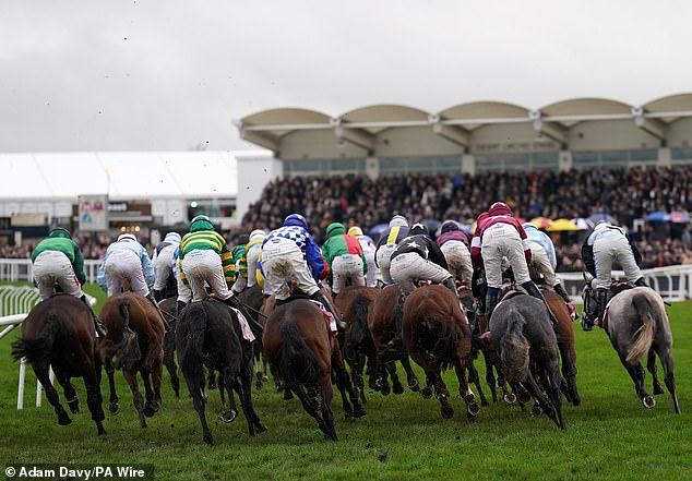 There were a number of crashes during the 4.50pm race at Cheltenham Racecourse