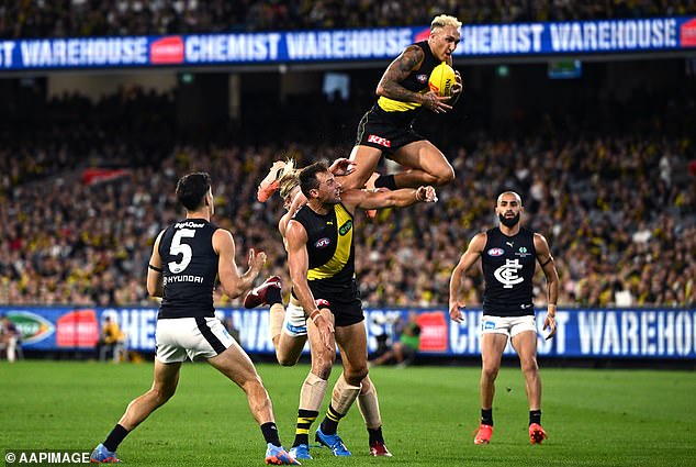 AFL Fans Association spokeswoman Sheridan Verwey warned the league after the increases - some as high as almost 13 percent - became public (pictured, Tigers star Shai Bolton)