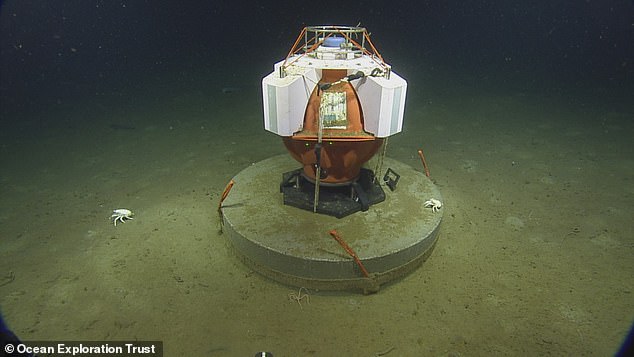 This Fetch device monitors seismic activity on the seafloor as part of ONC's NEPTUNE observatory.  Some deep-sea lobsters investigate