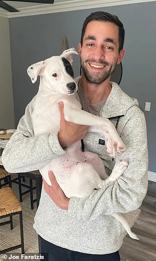 Mr Faratzis pictured above holding his dog