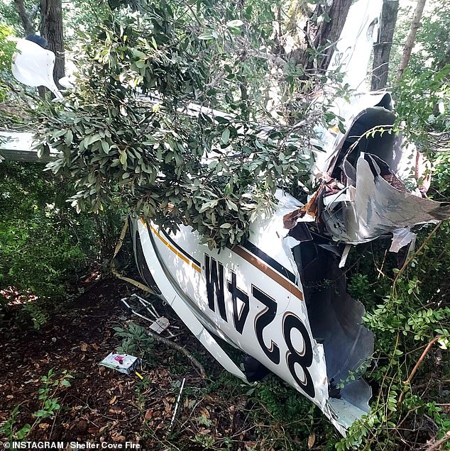 The frame of the light aircraft was torn open by the impact despite the parachute