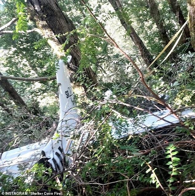 Rescuers feared the worst as they made their way through the dense forest to reach the family