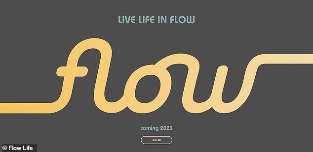 Neumann founded Flow after he was unceremoniously kicked out of WeWork in 2019