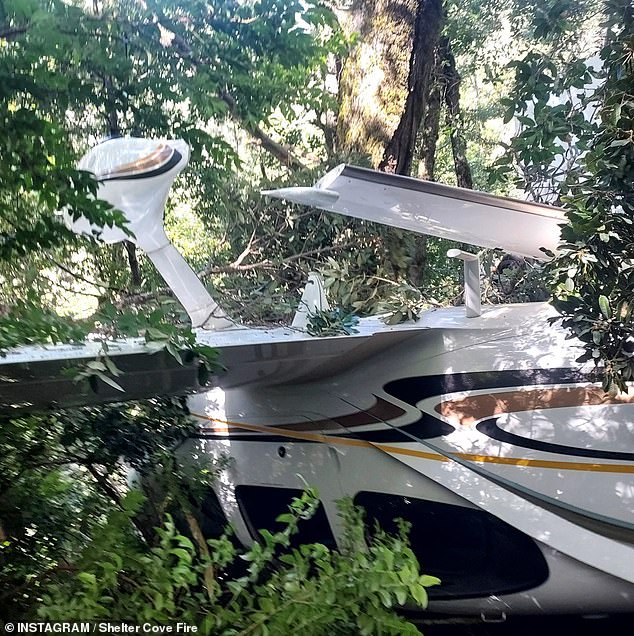 The four-seater plane came to rest in a tree before crashing upside down to Earth