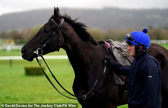 Willie Mullins trained horse Galopin Des Champs at a gallop on day four of the 2024 Cheltenham Festival at Cheltenham Racecourse.  Date of photo: Friday, March 15, 2024. PA Photo.  See PA story RACING Cheltenham.  Photo credit should read: David Davies for The Jockey Club/PA Wire.  RESTRICTIONS: Editorial use only, commercial use subject to prior permission from The Jockey Club/Cheltenham Racecourse.