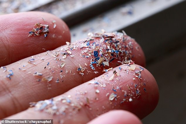 Microplastics are small plastic particles that occur everywhere and are increasingly seen as a major health risk