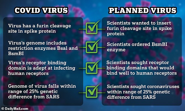 All four characteristics that scientists tried to create in a new virus in a 2018 research proposal match the characteristics of SARS-CoV-2, the virus that causes Covid