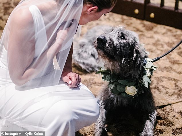 The huge dog was even present on her and Jason's wedding day and became part of the family