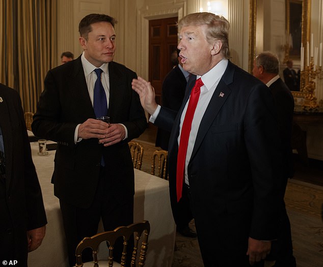 Speculation arose that Musk might endorse Trump after the two met in Florida.  Pictured: President Donald Trump talks with Tesla and SpaceX CEO Elon Musk at the White House, February 3, 2017