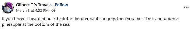 The Aquarium & Shark Lab in Hendersonville, North Carolina announced that Charlotte the stingray became pregnant through 'immaculate conception'