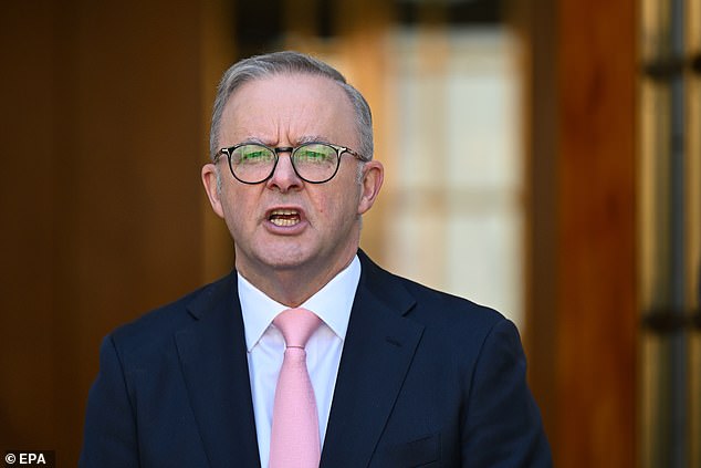 Prime Minister Anthony Albanese said his government's housing plan would reduce rising rents