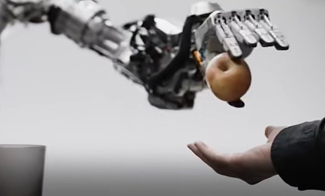 The robot picked up the apple and handed it directly to the man asking for food