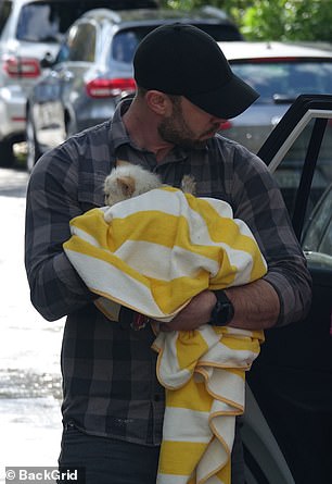 He was spotted carefully putting Delevingne's pet into a car and being taken away from the scene