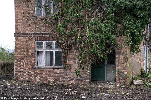 The shrubs covered the house and have since been cut away, exposing the historic features of the red brick house.