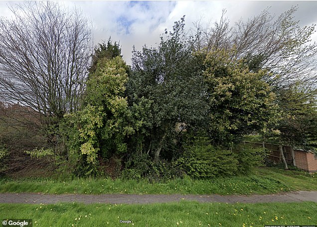 The house was hidden by overgrown shrubs