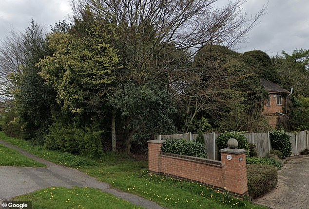 The house was almost completely hidden from locals in Gedling before the work began