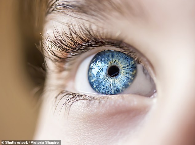 British children from the age of four wear special contact lenses to combat the growing problem