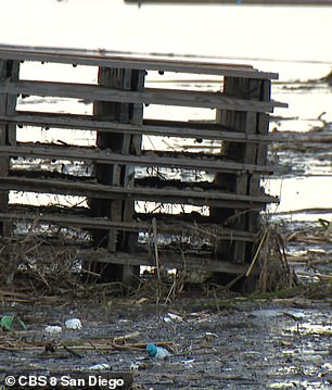 Last year, an estimated 13 billion liters of polluted water entered the Pacific Ocean via Mexico's Tijuana River