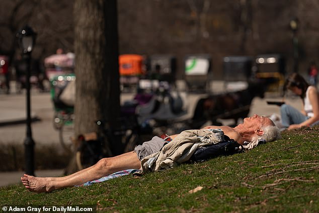 New York City will see a morning low of 35 degrees Tuesday morning after a week of spring-like warmth.  Pictured: People enjoying the warm weather in Central Park on Thursday