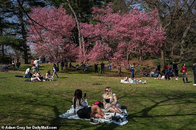 The arrival of cold spring weather comes after many parts of the country experienced the warmest winter on record.  Pictured: People enjoying the warm weather in Central Park on Thursday