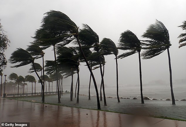 FOX Forecast Center meteorologist Cody Braud blamed EL Nino for the warm winter, saying the weather pattern 'played a big role in the record heat' Pictured: Hurricane Irma seen in Miami, with EL Nino blamed for the gray skies