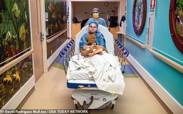 Dewey took her mother's stuffed animal with her to the operating room in Ann Arbor