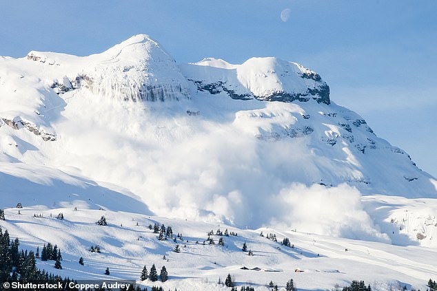 Chris Lundy, National Avalanche Specialist for DailyMail.com, who said someone caught in an avalanche has just 15 minutes to survive - and it all comes down to their partner digging them out