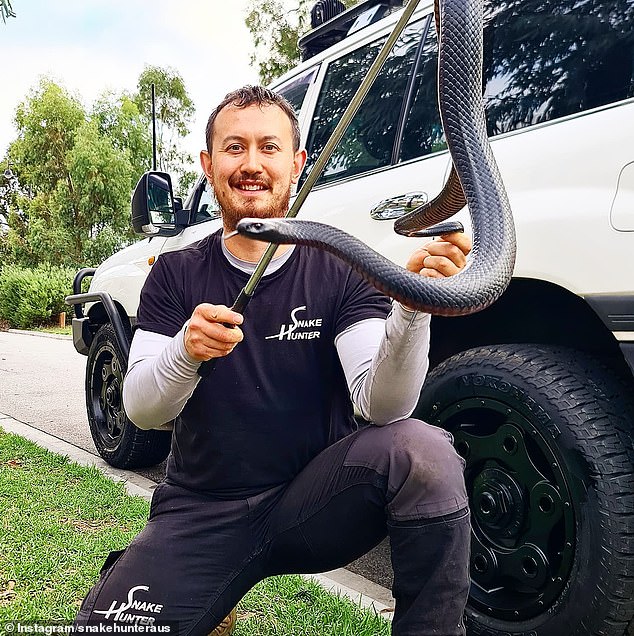 Mr Pelley spent several days in intensive care after being bitten by a tiger snake while at work