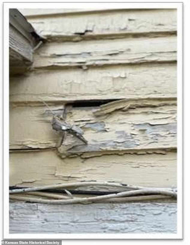 The report included multiple images of rotten planks, cladding, window frames, fascias, balustrades and unpainted patchwork repairs in the house