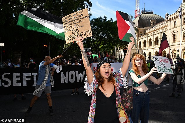 The pro-Palestinian protesters shouted 'shame' at the politicians and called for a ceasefire (photo: a rally for Free Palestine outside Brisbane's parliament building earlier this month)