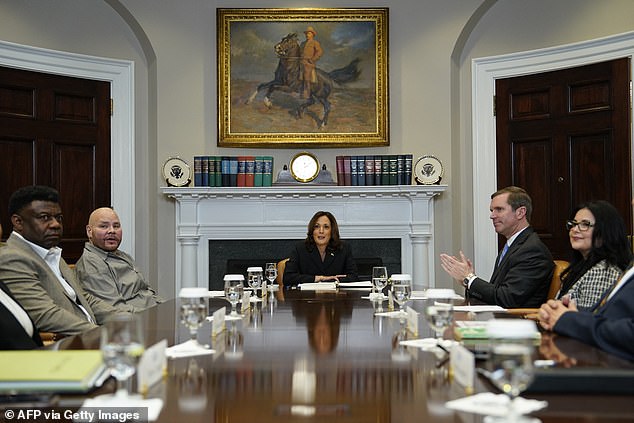 Flanked by American musician Fat Joe (L) and Kentucky Governor Andy Beshear (R), US Vice President Kamala Harris (C) speaks during a roundtable discussion on marijuana reform