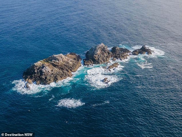 Dive site Julian Rocks is renamed Nguthungulli, which means the Father of the World