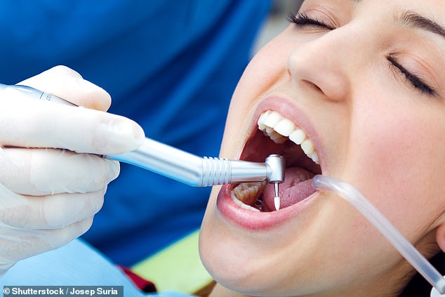 A survey of 1,104 dentists in England found that 43 percent actually believe the proposals will lead to them seeing fewer NHS patients (Stock Image)