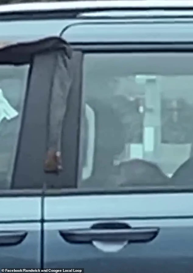 The couple was spotted (pictured) by a man who had parked just a few meters away during his lunch break, while another man sat on a bench next to the car.