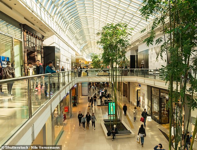 The TikTok video also made many Australians wonder what American shopping centers look like (stock image)